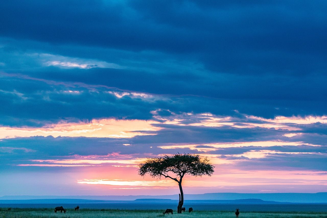 /images/maasai-mara.jpg